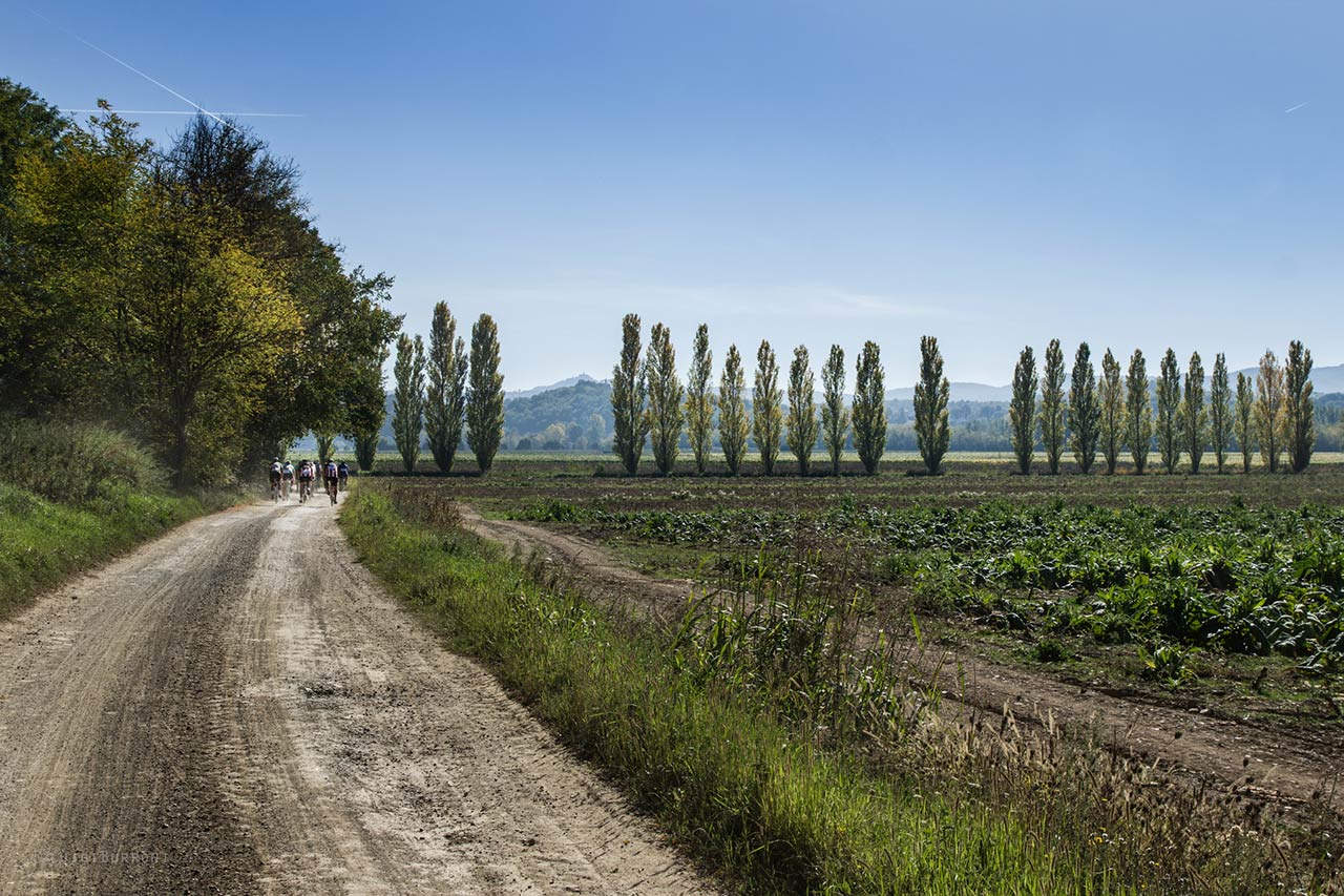 Asprevie Anghiari Gravel Roads - Gravel Anghiari in Valtiberina